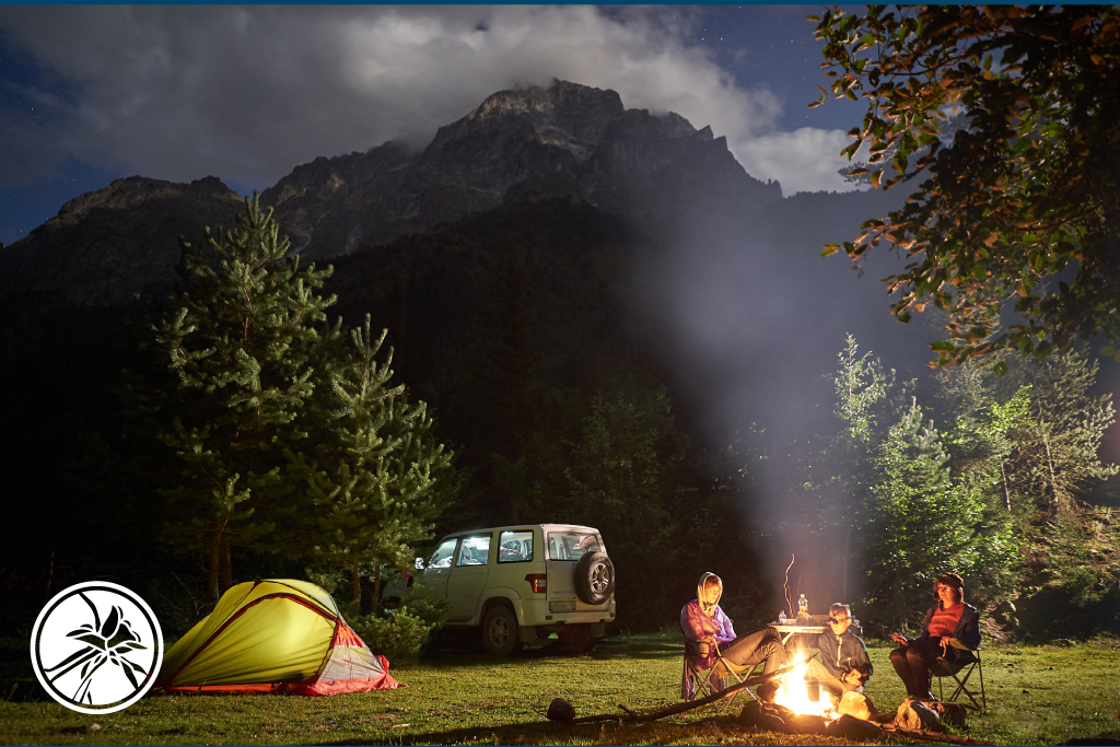 people camping outside with bonfire and tent