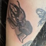 linework tattoo of a stag beetle